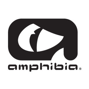 amphibia amphibia